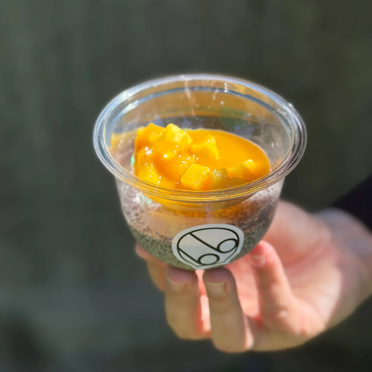 Verrine Chia Manga Maracuja e Ananás | congelado | 2 un