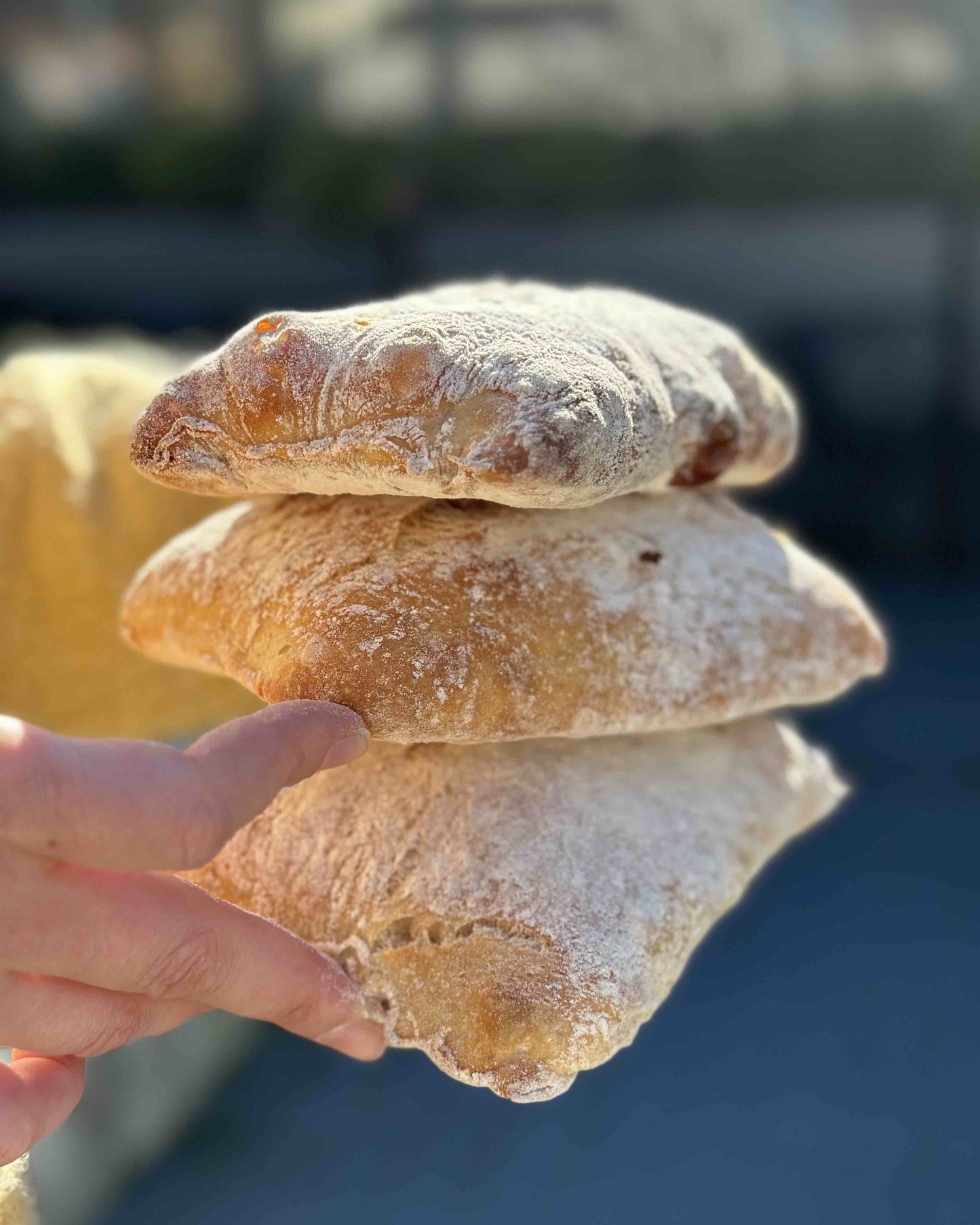 Pão Ciabatta | Massa Mãe