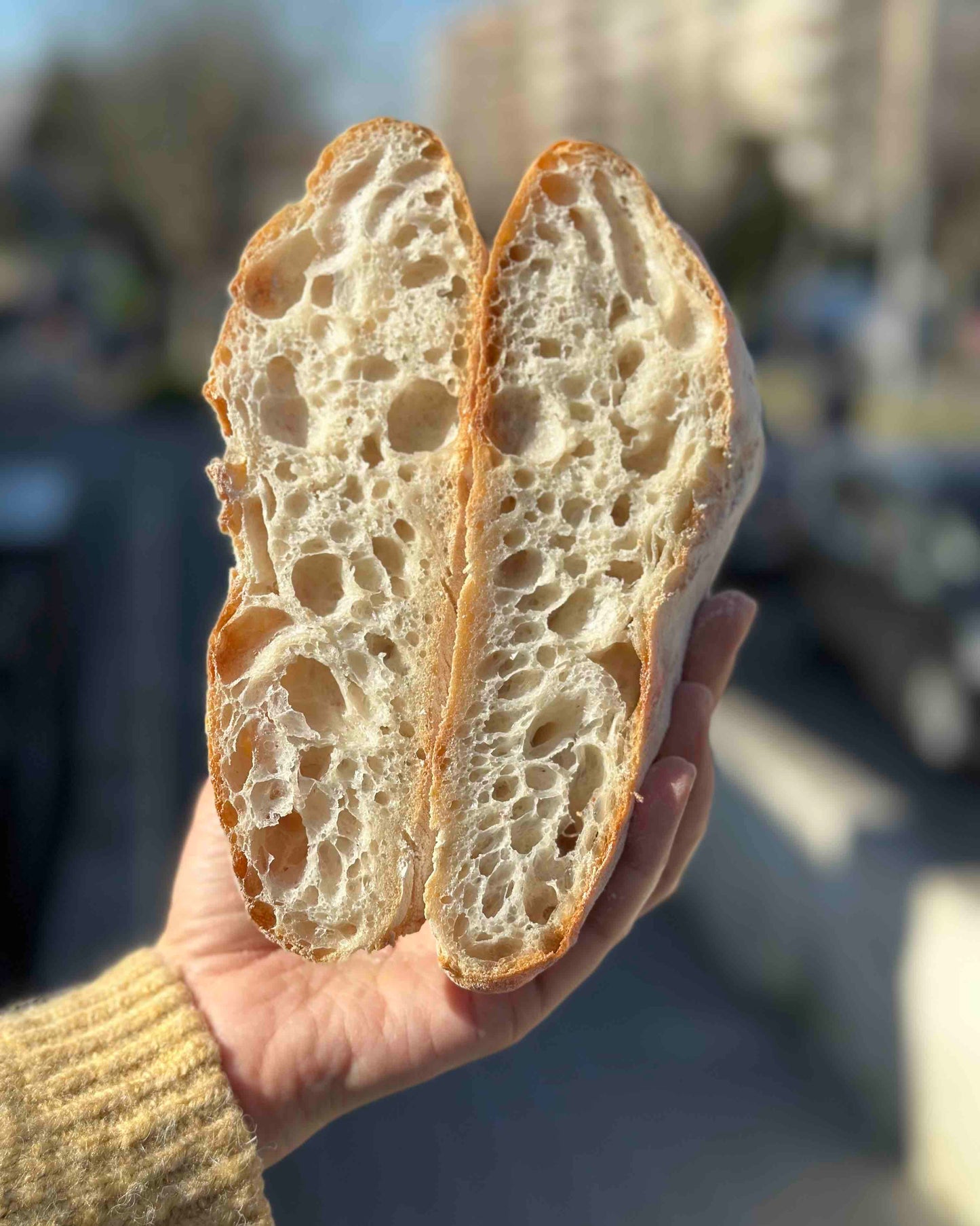 Pão Ciabatta | Massa Mãe