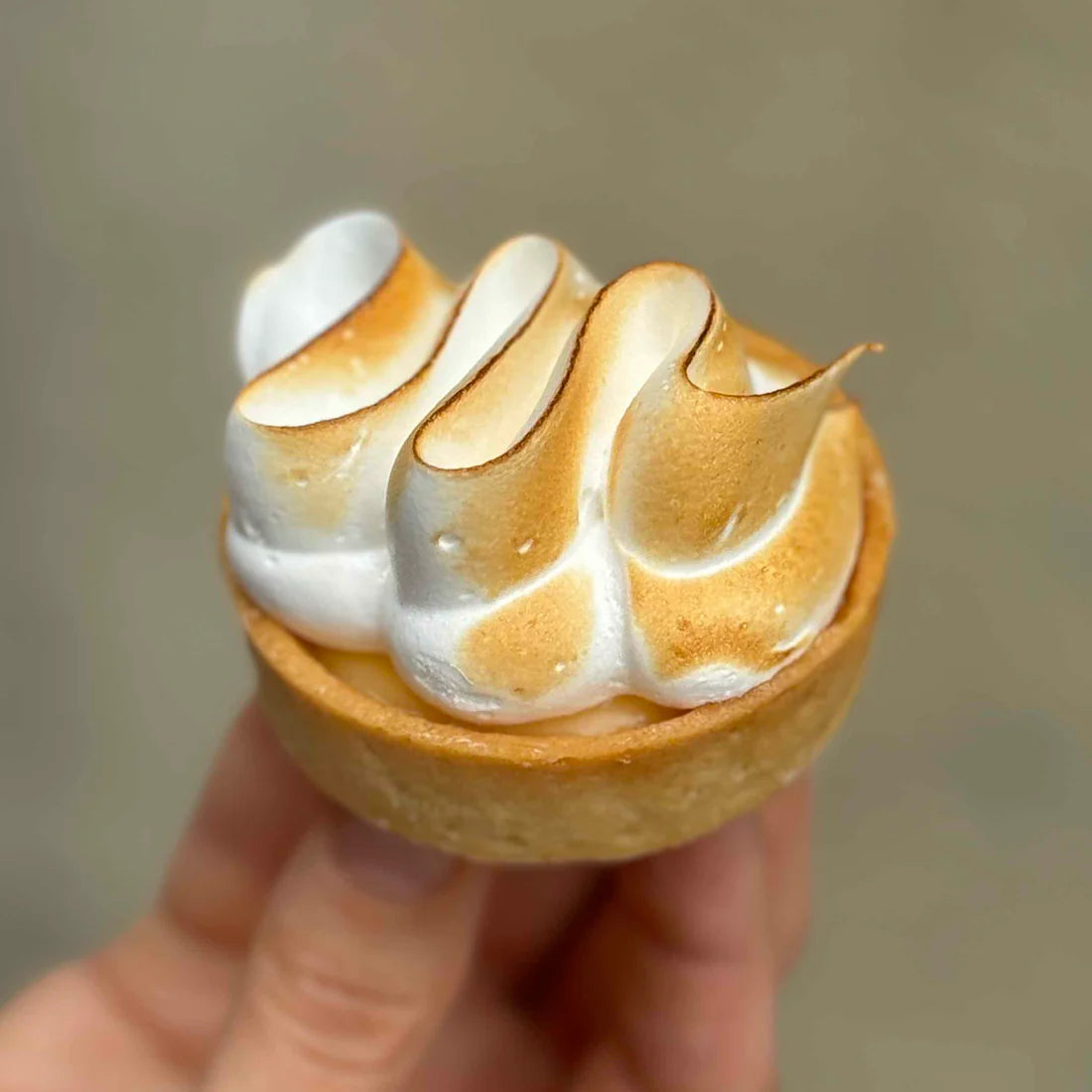 Lemon Meringade Tartlet